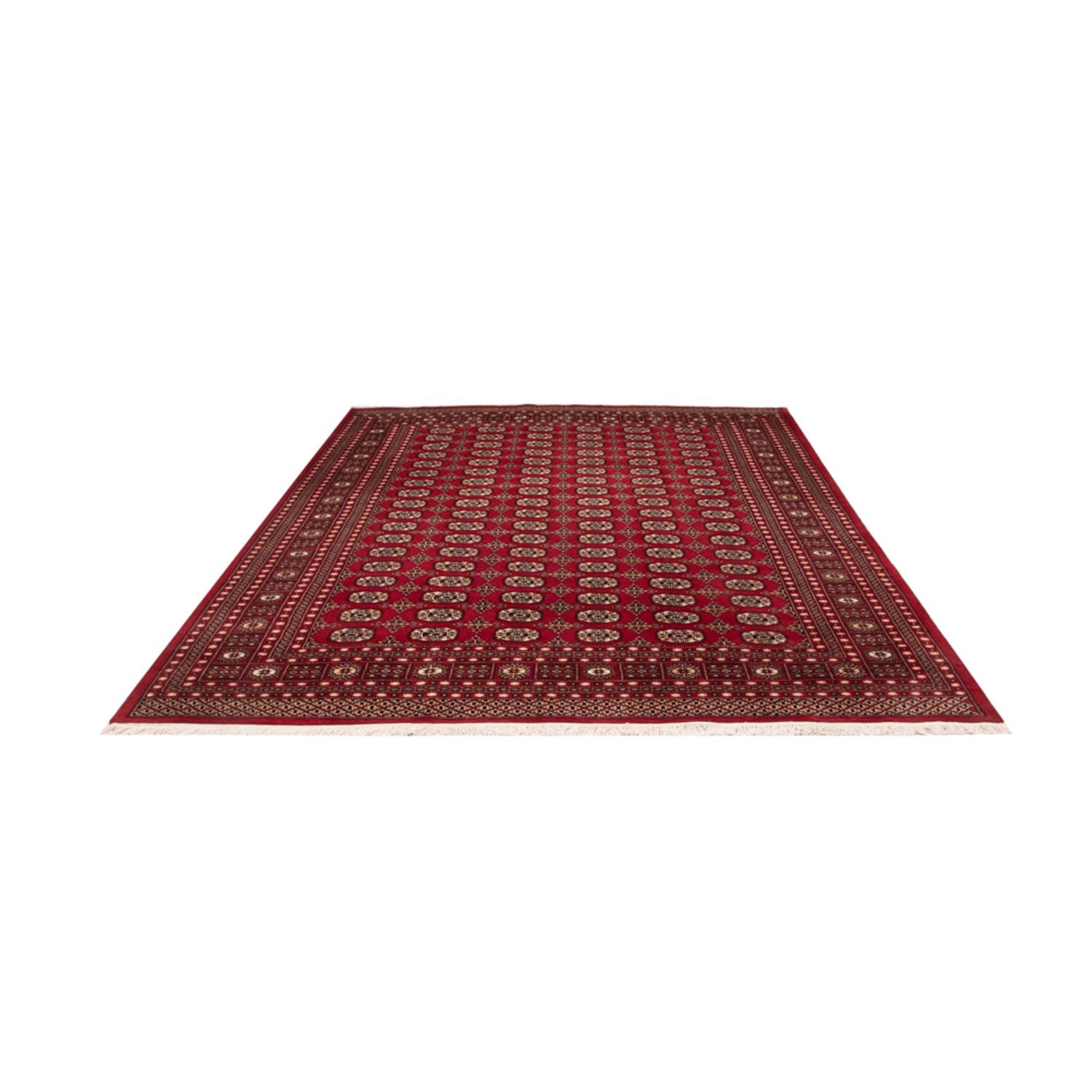 Afghansk tæppe - Bukhara - 311 x 243 cm - rød