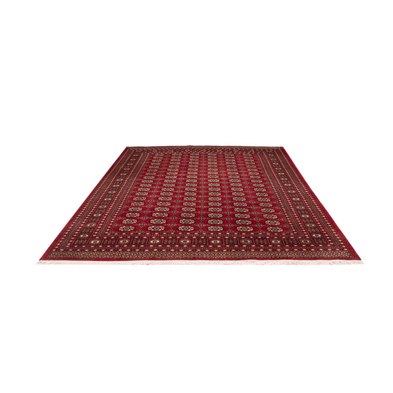 Afghansk tæppe - Bukhara - 311 x 243 cm - rød