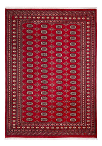 Afghansk tæppe - Bukhara - 297 x 213 cm - rød