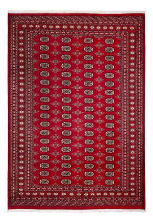 Afghansk tæppe - Bukhara - 297 x 213 cm - rød