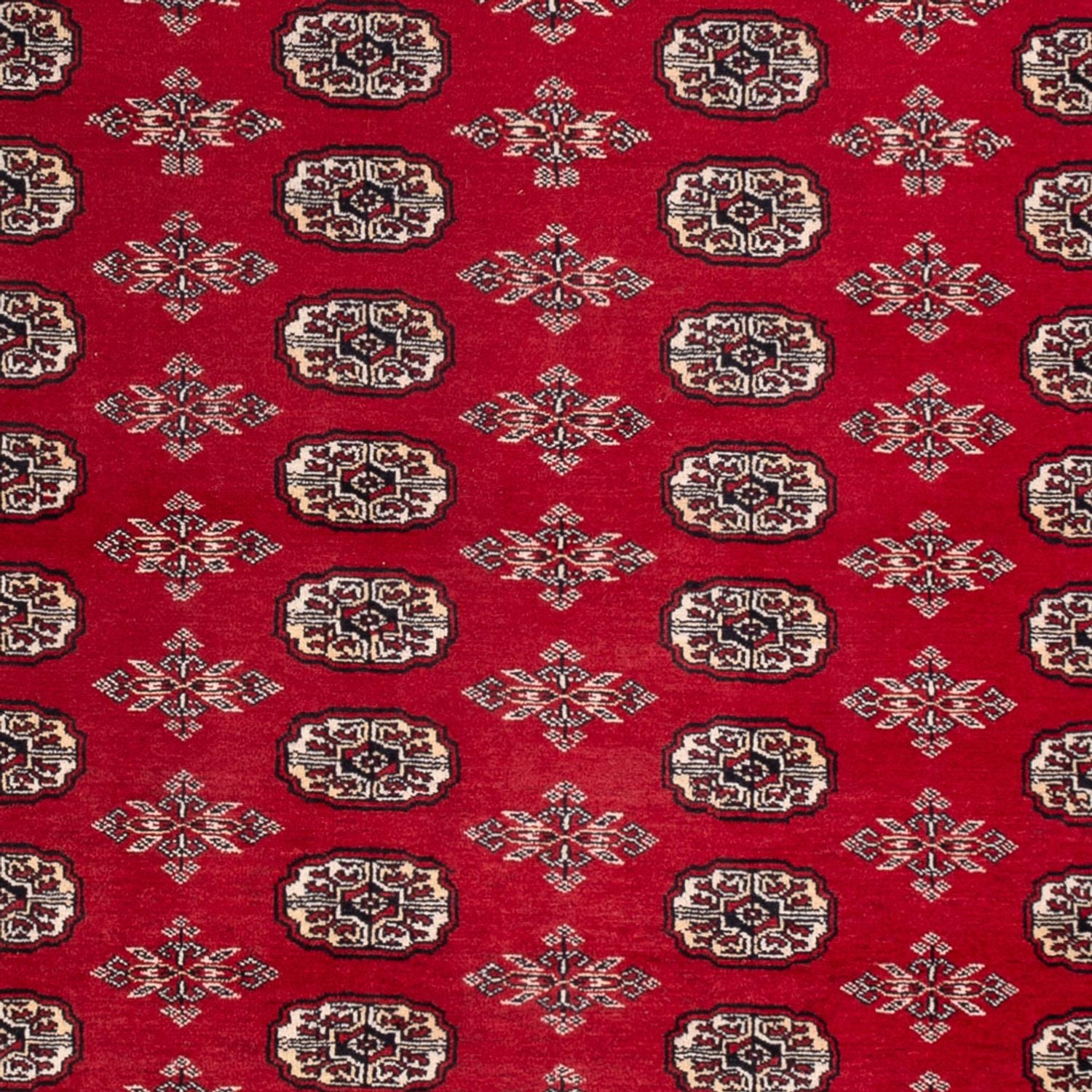 Afghansk tæppe - Bukhara - 297 x 213 cm - rød