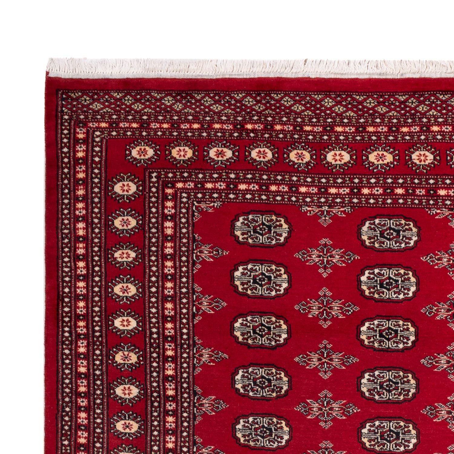 Afghansk tæppe - Bukhara - 297 x 213 cm - rød