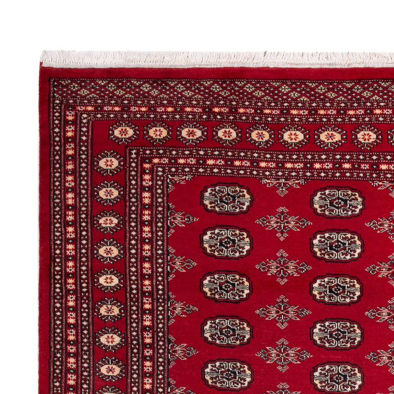 Afghansk tæppe - Bukhara - 297 x 213 cm - rød