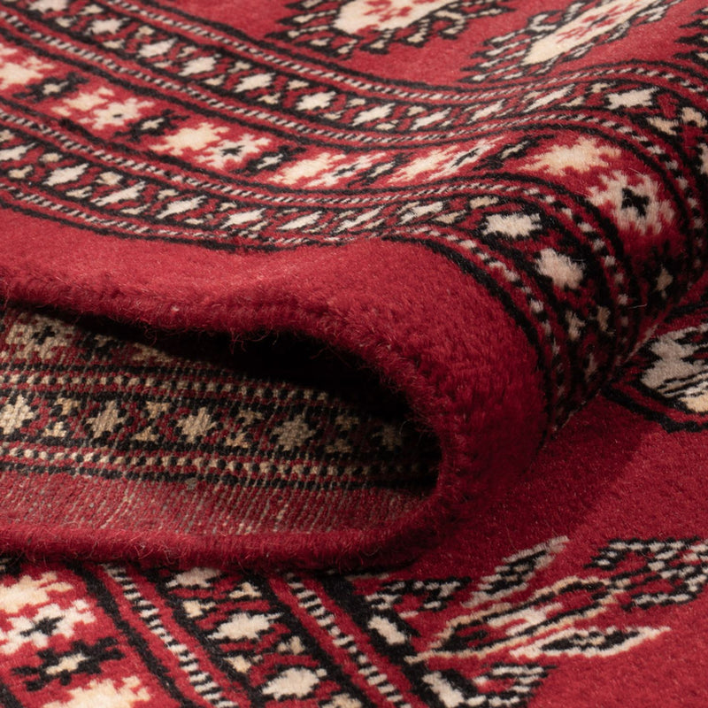 Afghansk tæppe - Bukhara - 297 x 213 cm - rød