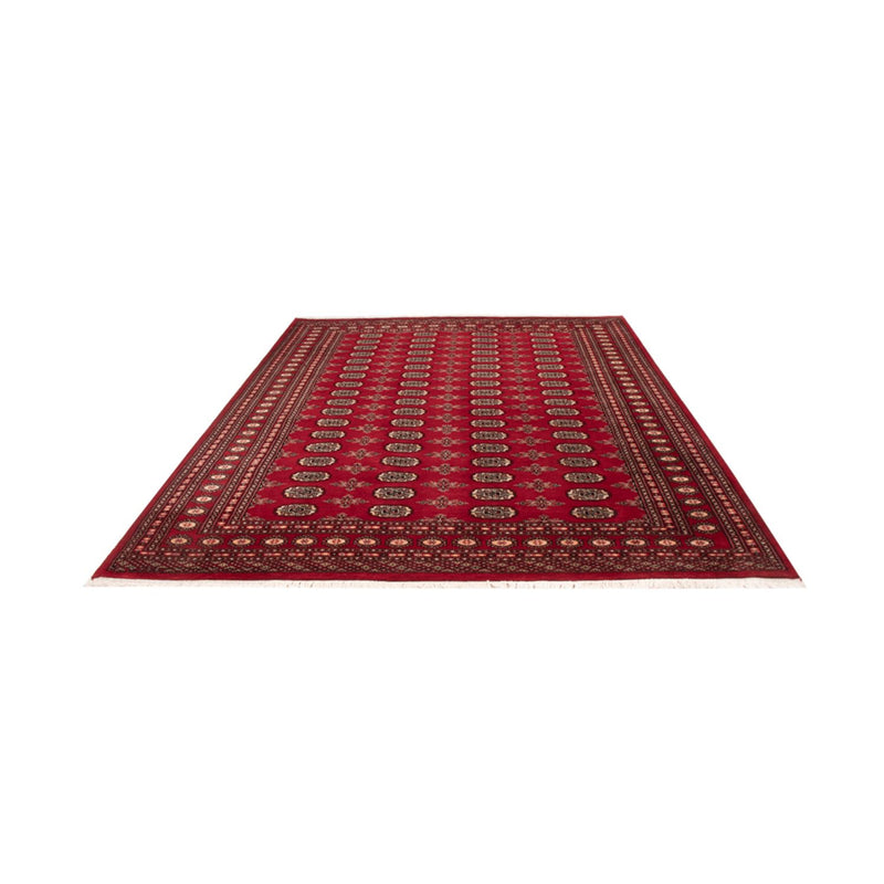 Afghansk tæppe - Bukhara - 297 x 213 cm - rød