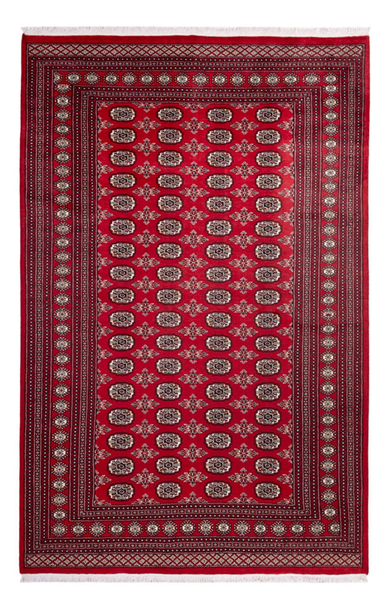 Afghansk tæppe - Bukhara - 302 x 199 cm - rød