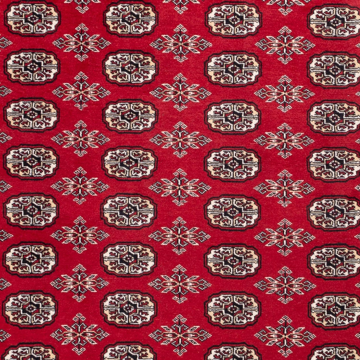 Afghansk tæppe - Bukhara - 302 x 199 cm - rød