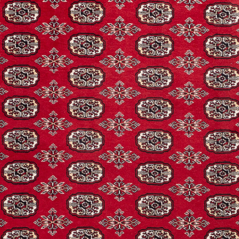 Afghansk tæppe - Bukhara - 302 x 199 cm - rød