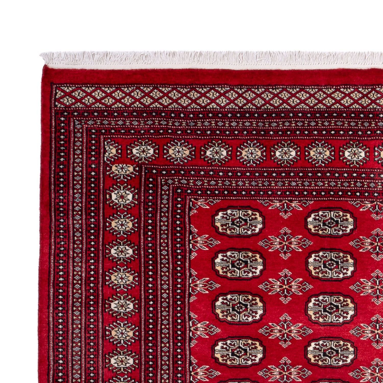 Afghansk tæppe - Bukhara - 302 x 199 cm - rød