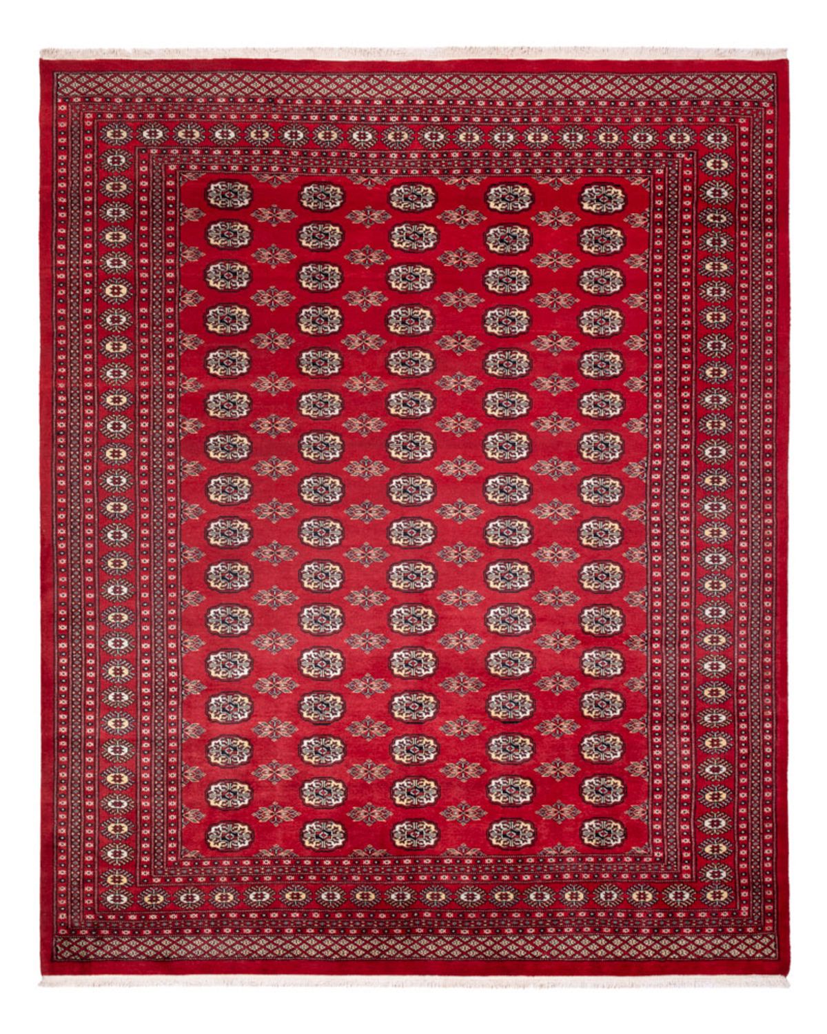 Afghansk tæppe - Bukhara - 307 x 247 cm - rød