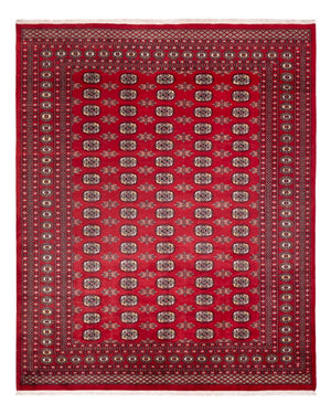 Afghansk tæppe - Bukhara - 307 x 247 cm - rød
