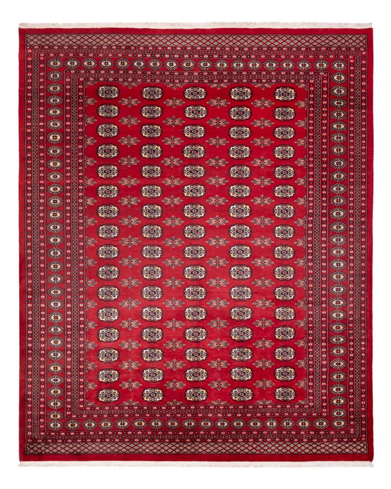 Afghansk tæppe - Bukhara - 307 x 247 cm - rød