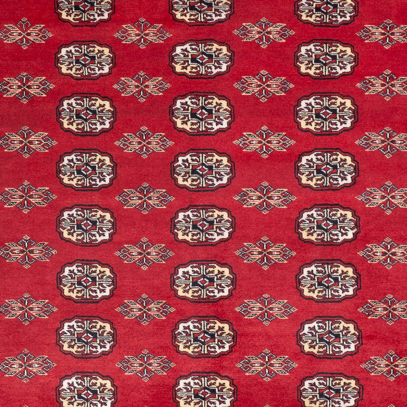 Afghansk tæppe - Bukhara - 307 x 247 cm - rød