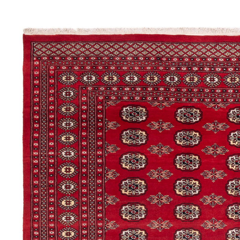 Afghansk tæppe - Bukhara - 307 x 247 cm - rød