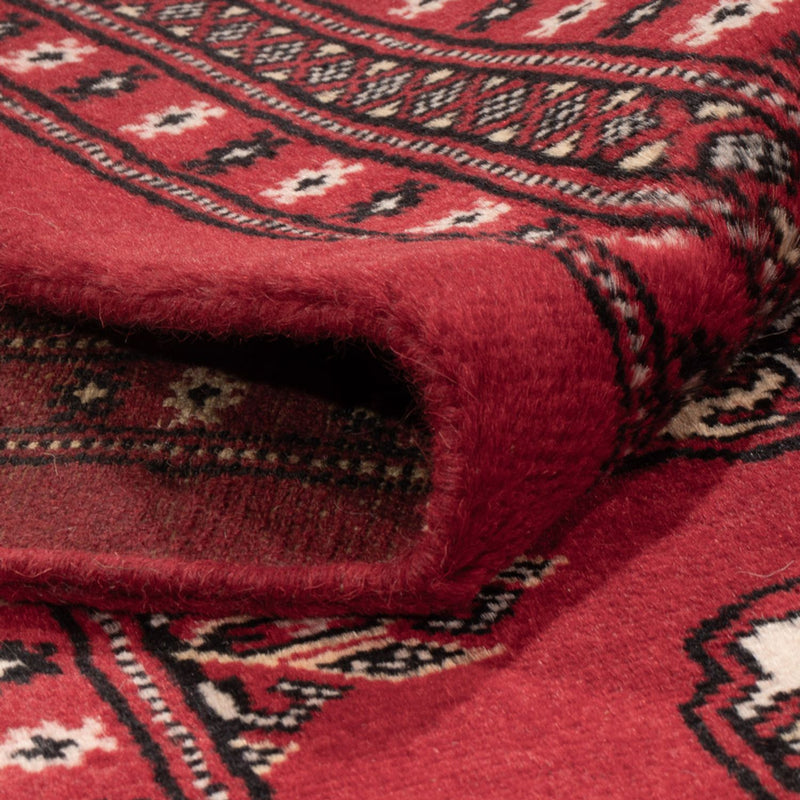 Afghansk tæppe - Bukhara - 307 x 247 cm - rød