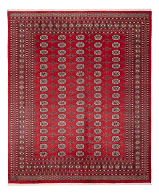 Afghansk tæppe - Bukhara - 298 x 243 cm - rød