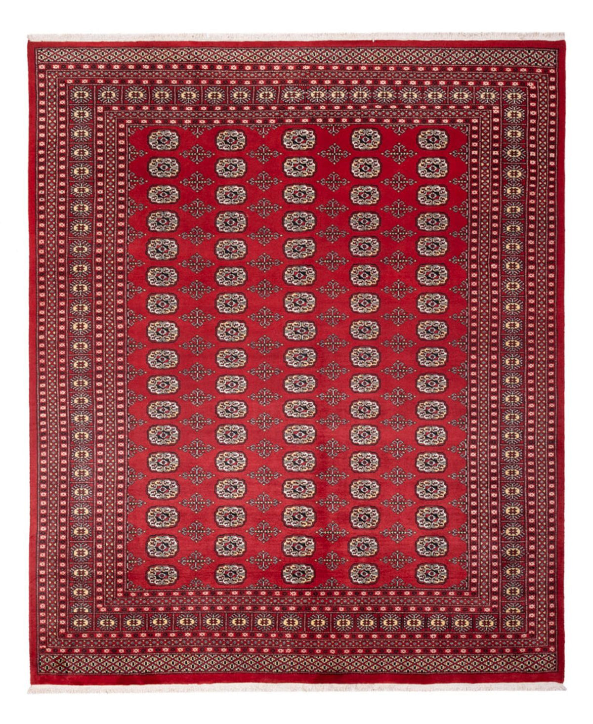 Afghansk tæppe - Bukhara - 298 x 243 cm - rød