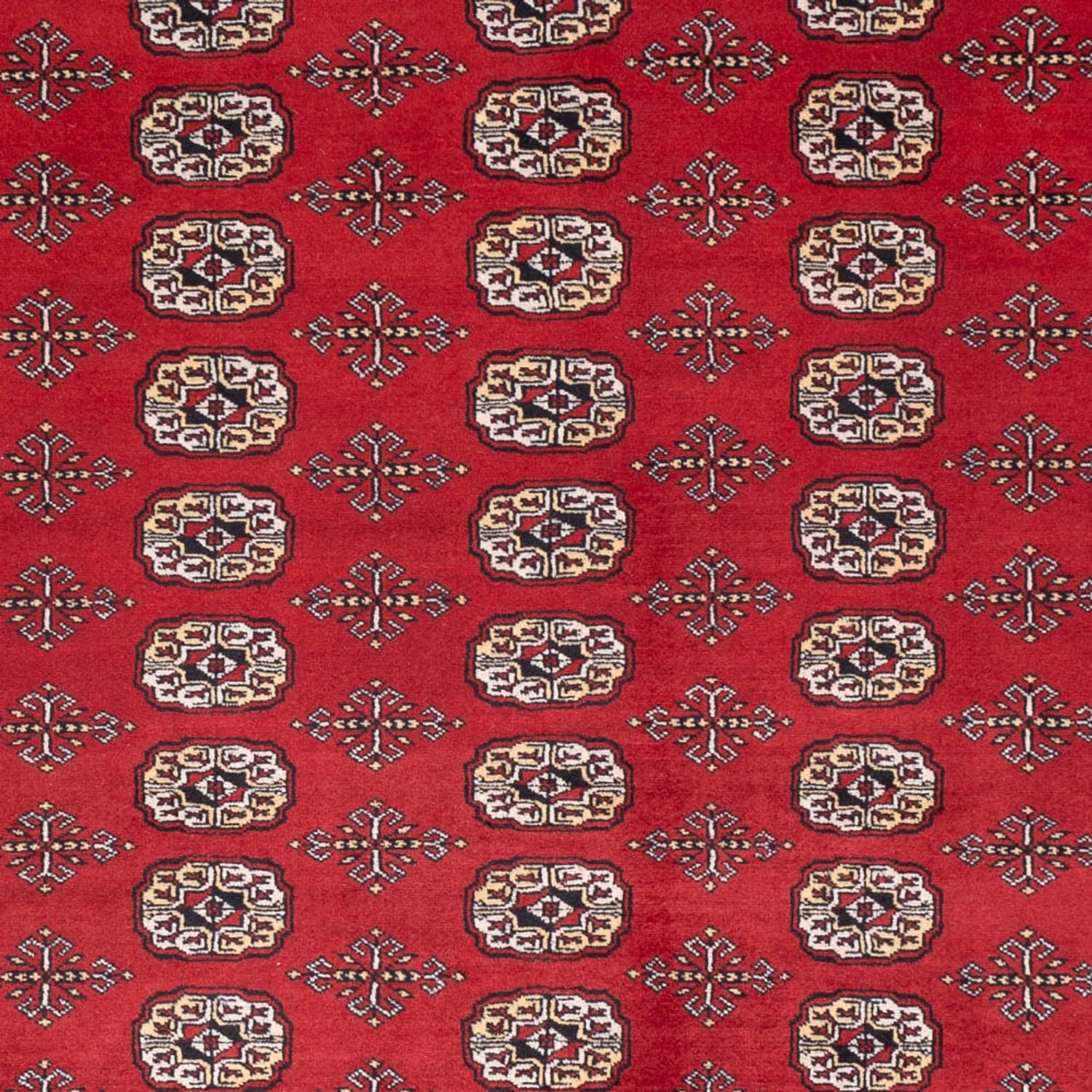 Afghansk tæppe - Bukhara - 298 x 243 cm - rød