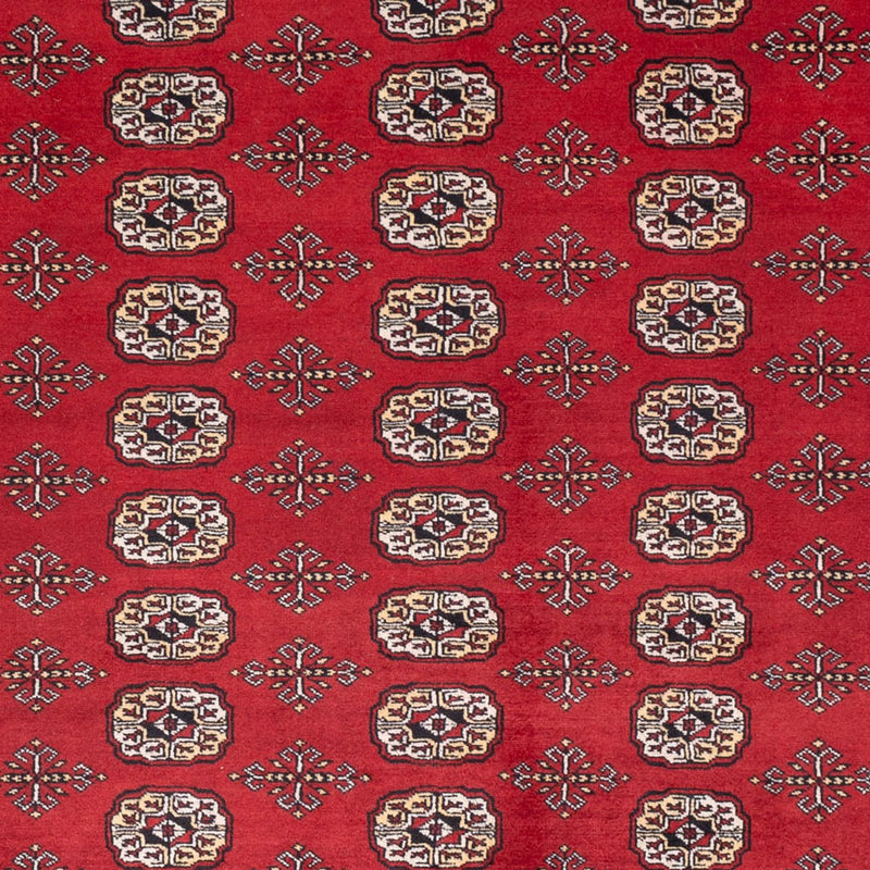 Afghansk tæppe - Bukhara - 298 x 243 cm - rød