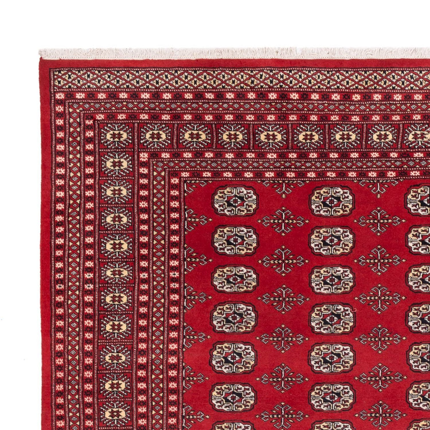 Afghansk tæppe - Bukhara - 298 x 243 cm - rød