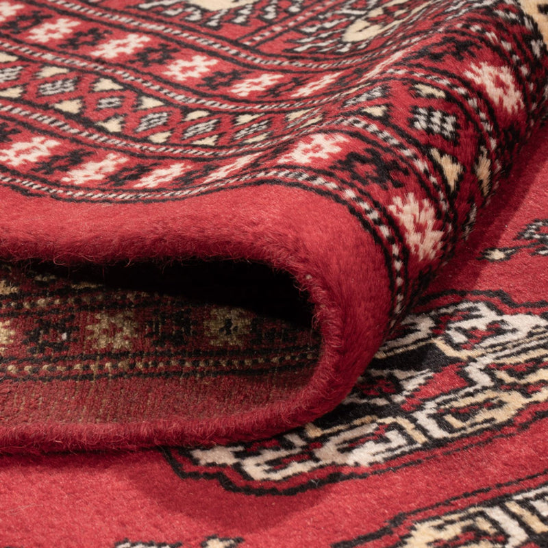 Afghansk tæppe - Bukhara - 298 x 243 cm - rød