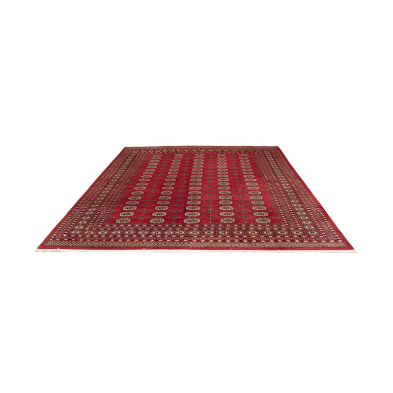 Afghansk tæppe - Bukhara - 298 x 243 cm - rød