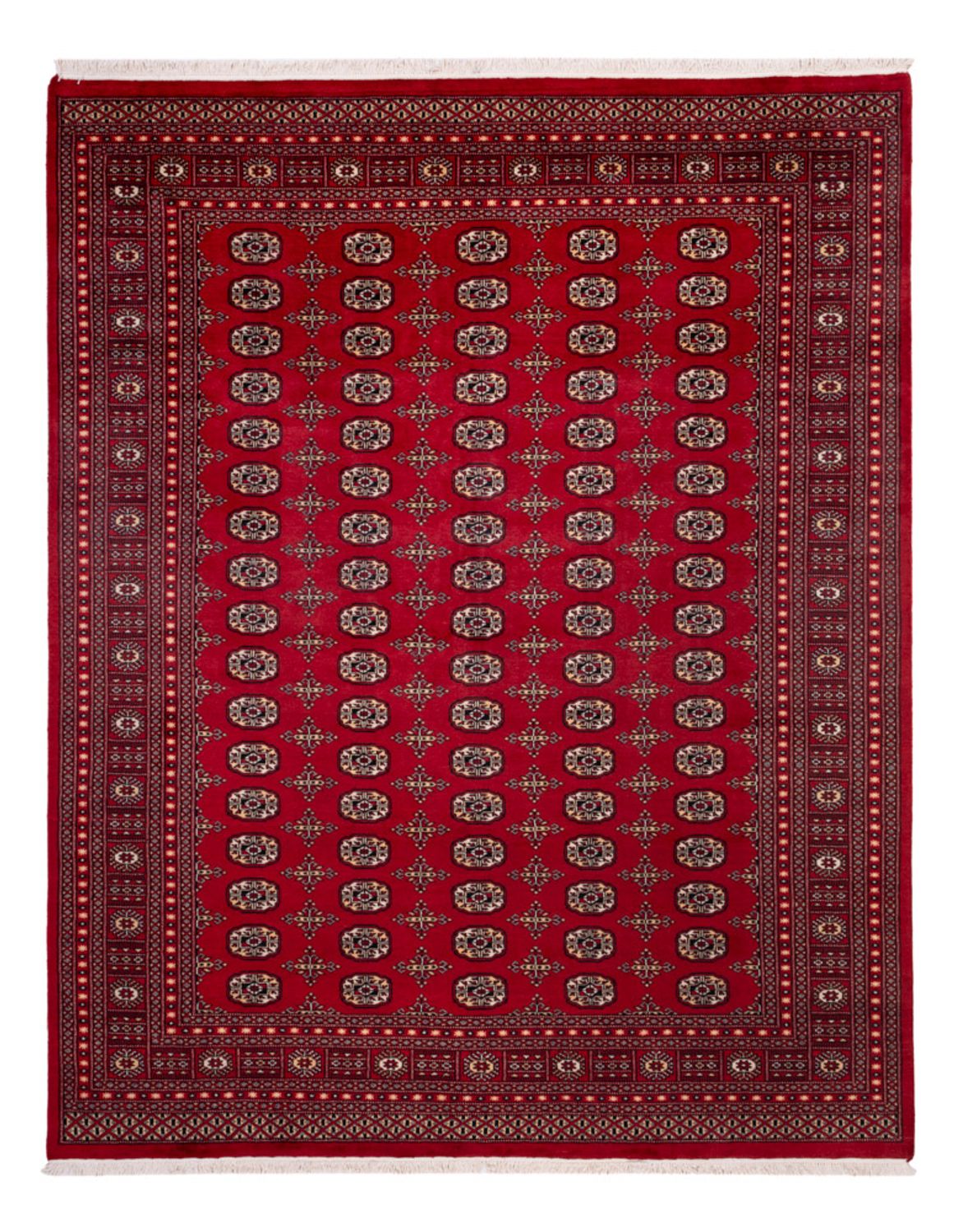 Afghansk tæppe - Bukhara - 308 x 243 cm - rød