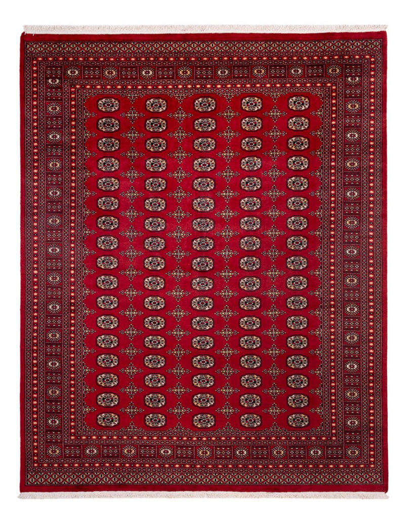 Afghansk tæppe - Bukhara - 308 x 243 cm - rød