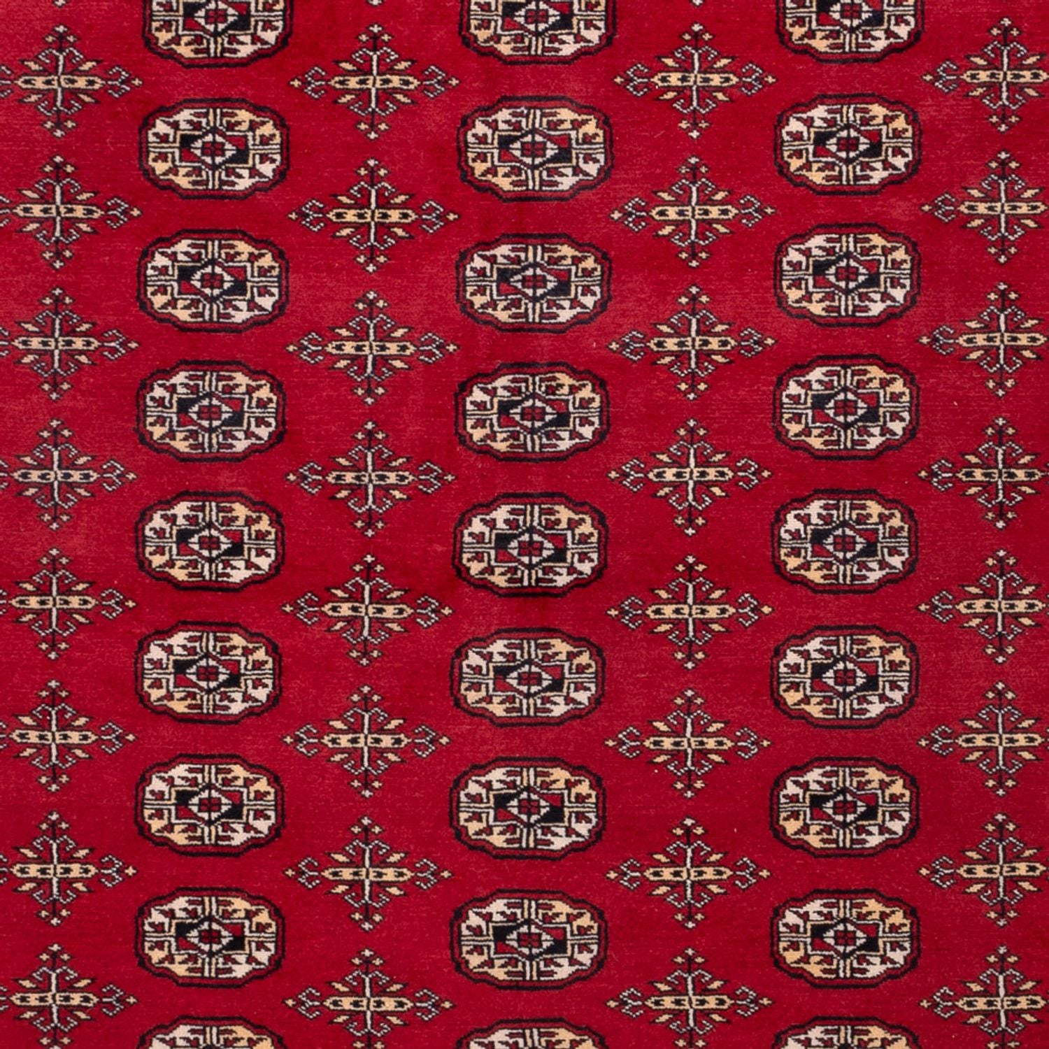 Afghansk tæppe - Bukhara - 308 x 243 cm - rød
