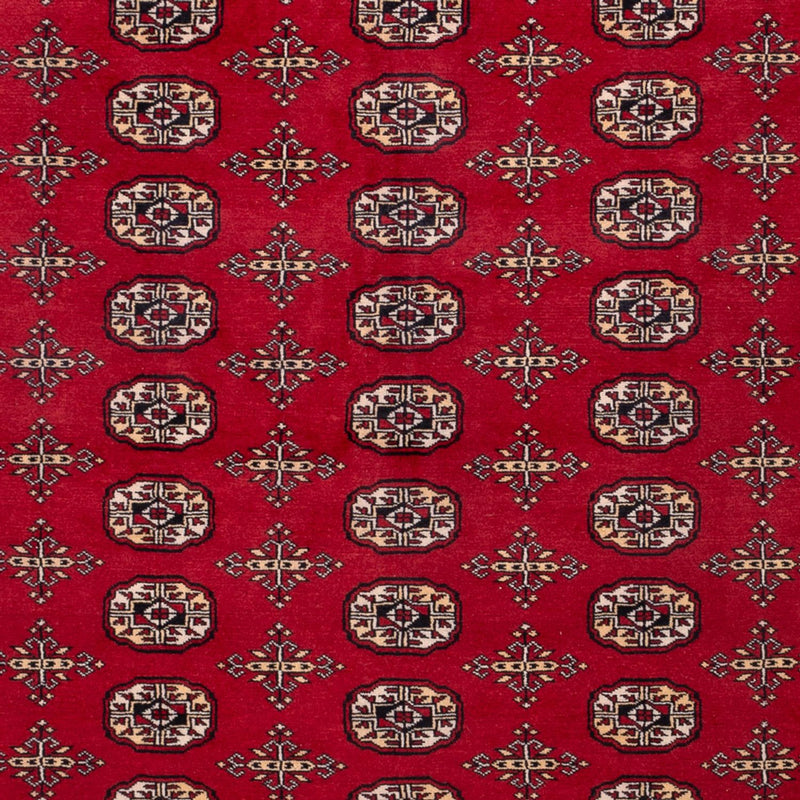 Afghansk tæppe - Bukhara - 308 x 243 cm - rød