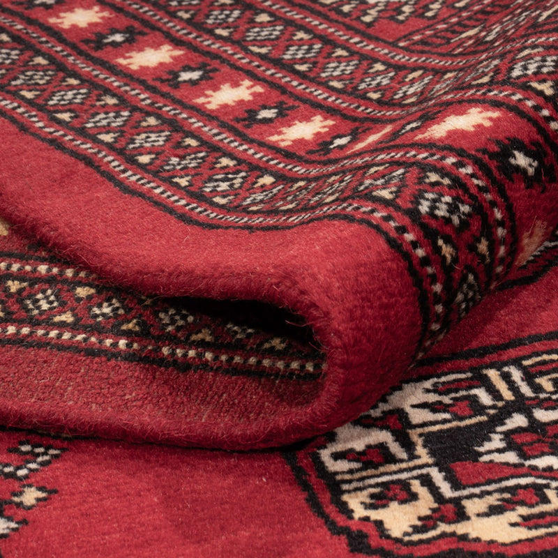 Afghansk tæppe - Bukhara - 308 x 243 cm - rød