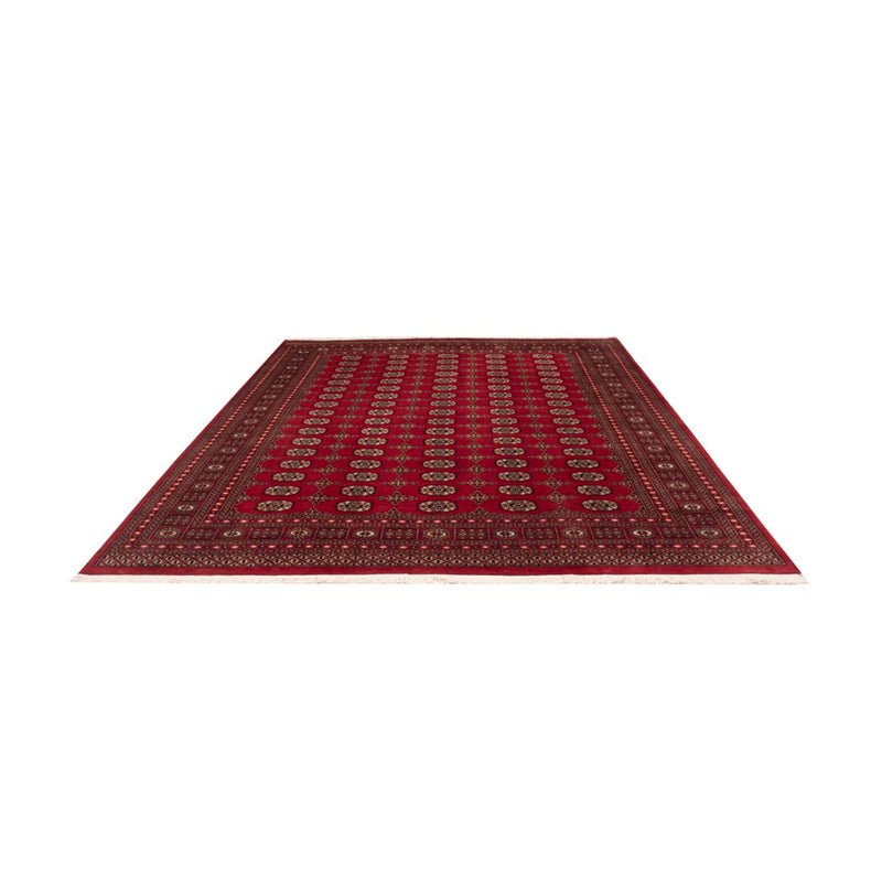 Afghansk tæppe - Bukhara - 308 x 243 cm - rød