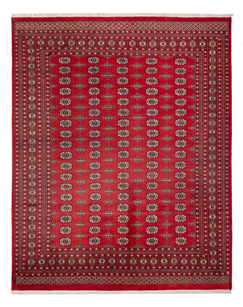 Afghansk tæppe - Bukhara - 312 x 244 cm - rød
