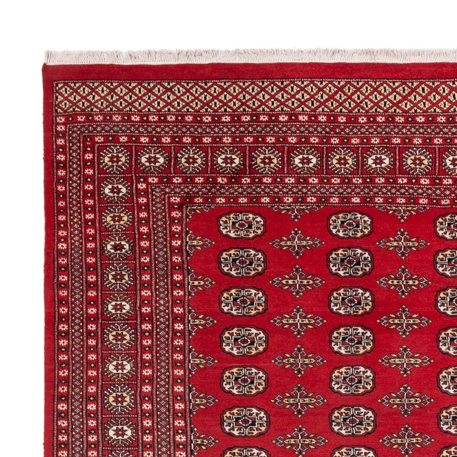 Afghansk tæppe - Bukhara - 312 x 244 cm - rød