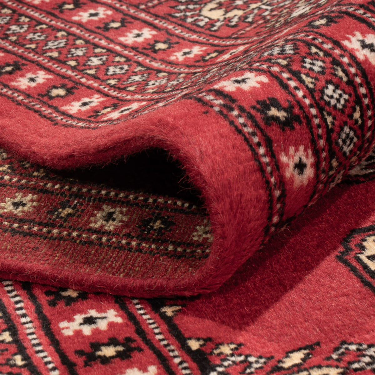 Afghansk tæppe - Bukhara - 312 x 244 cm - rød