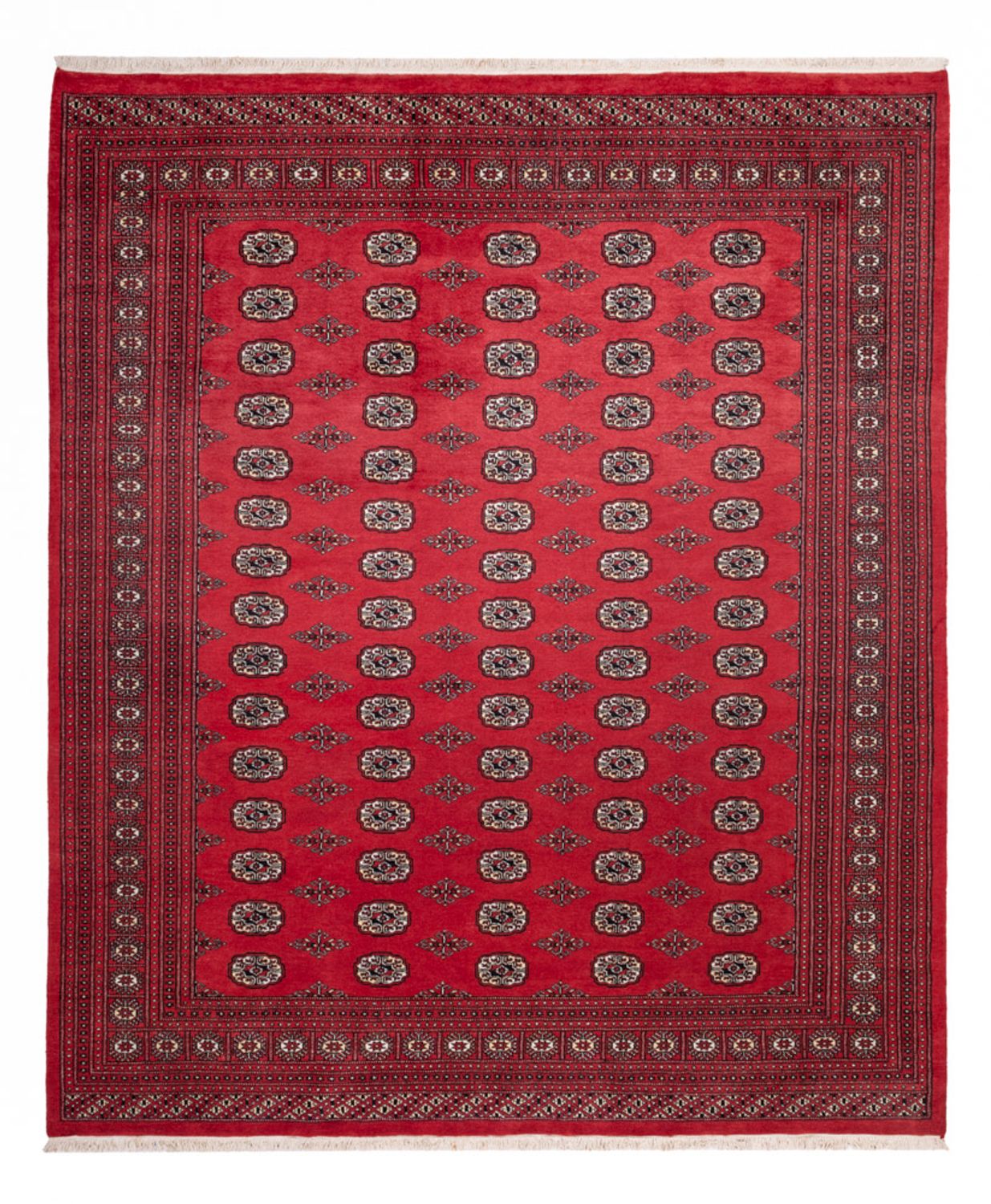 Afghansk tæppe - Bukhara - 305 x 246 cm - rød