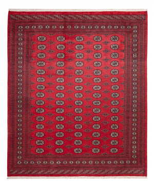 Afghansk tæppe - Bukhara - 305 x 246 cm - rød