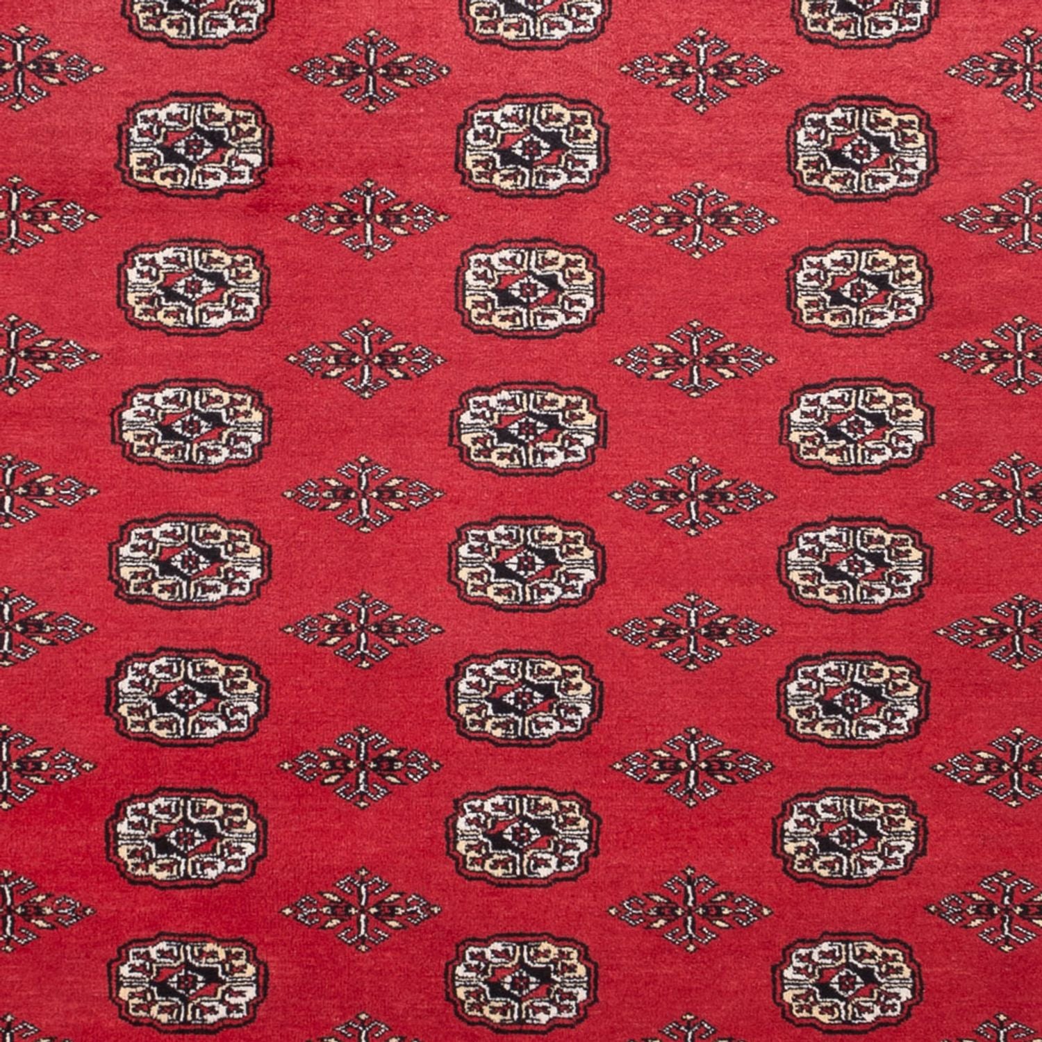 Afghansk tæppe - Bukhara - 305 x 246 cm - rød