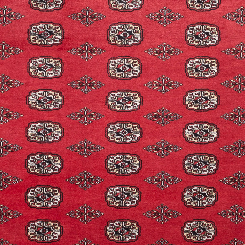 Afghansk tæppe - Bukhara - 305 x 246 cm - rød