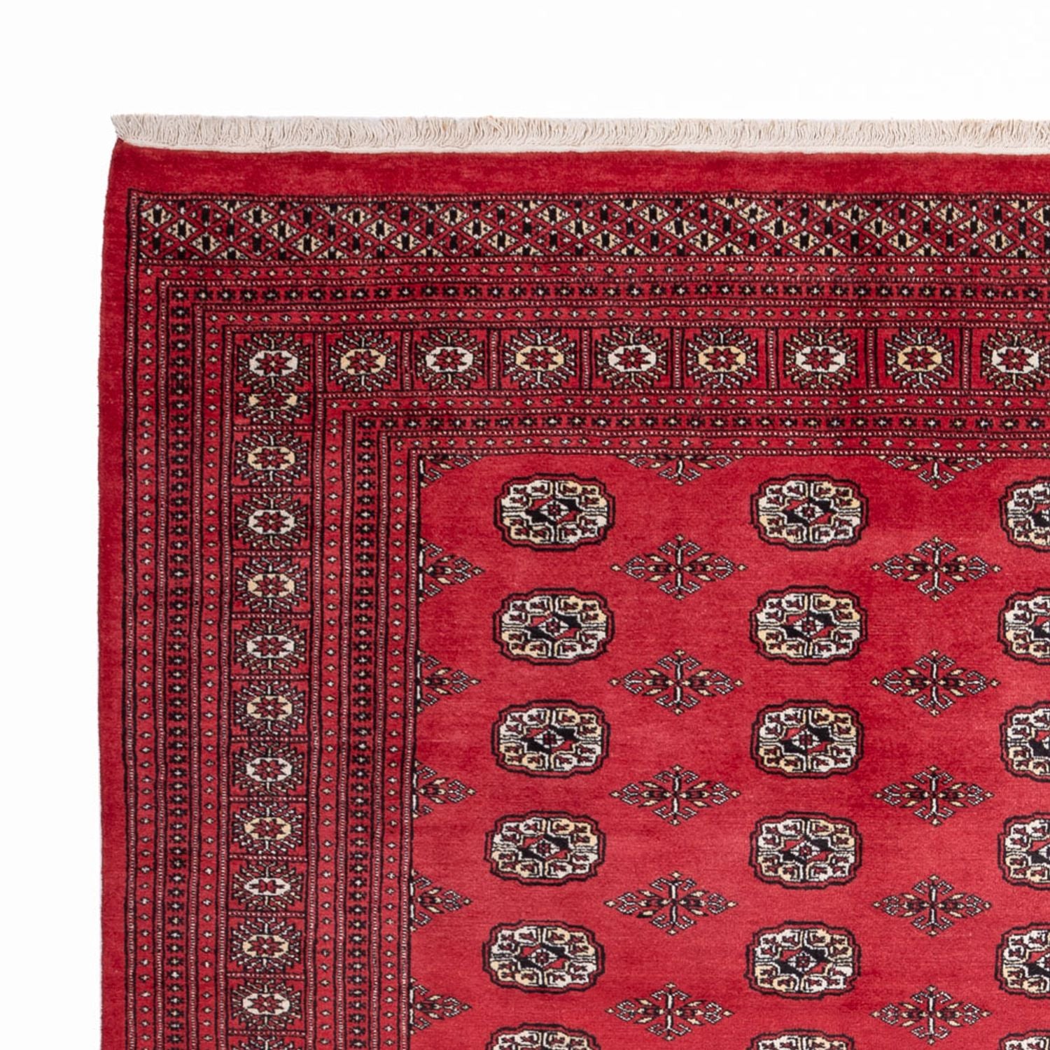 Afghansk tæppe - Bukhara - 305 x 246 cm - rød