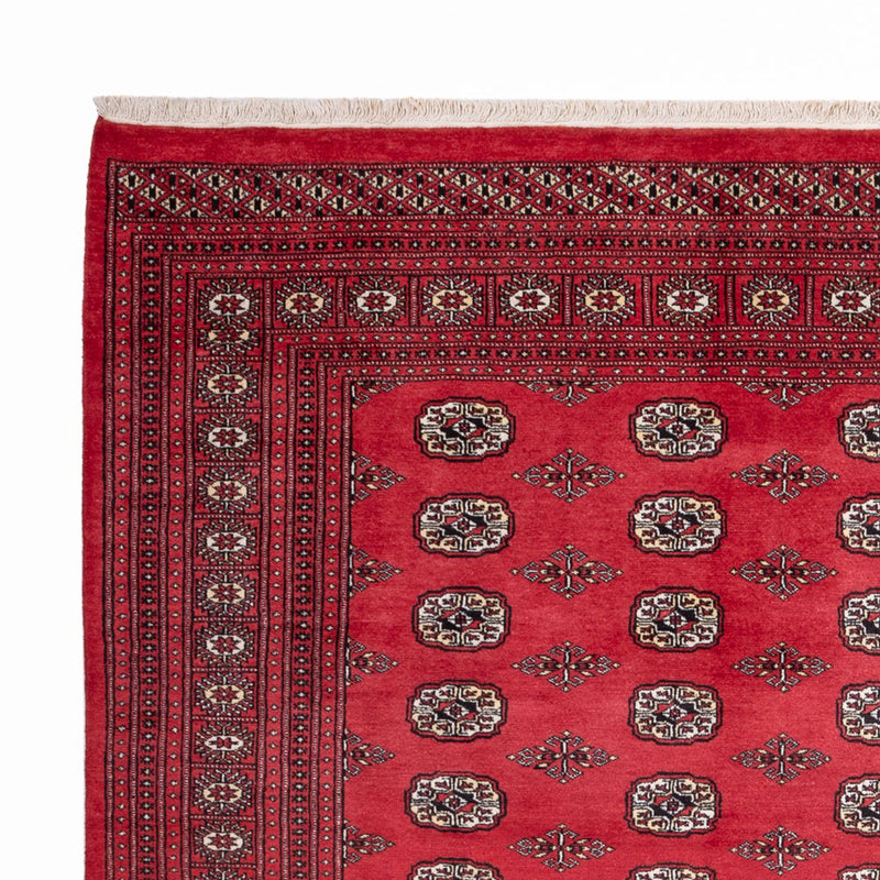 Afghansk tæppe - Bukhara - 305 x 246 cm - rød