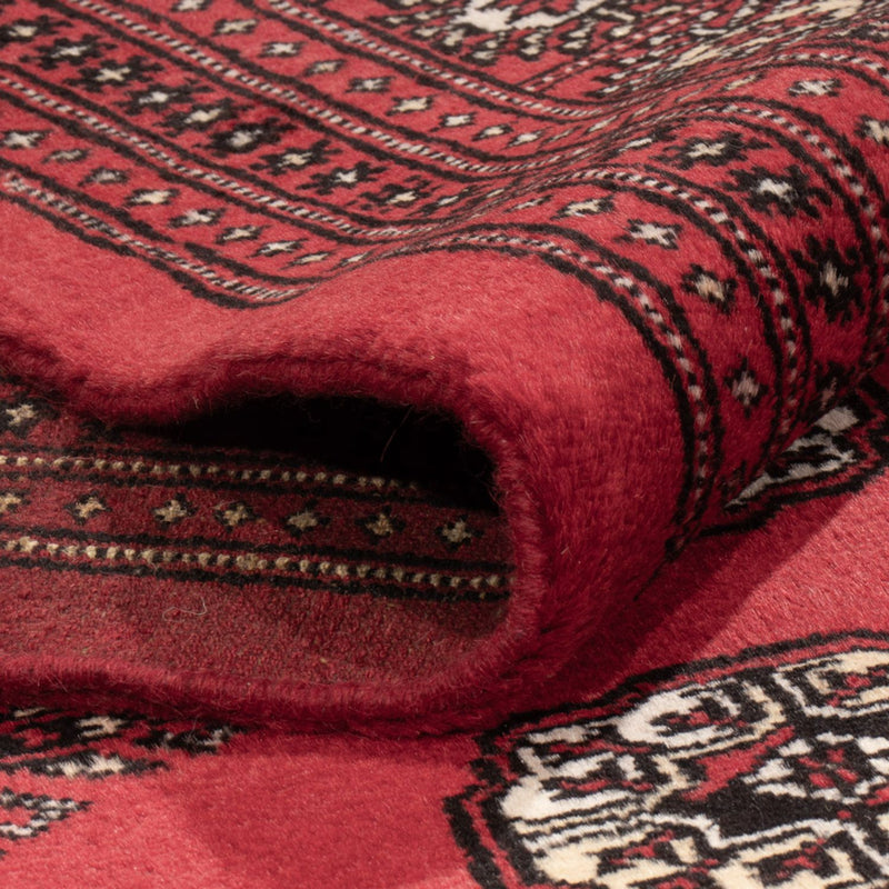 Afghansk tæppe - Bukhara - 305 x 246 cm - rød