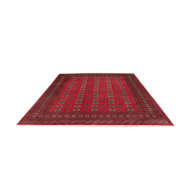 Afghansk tæppe - Bukhara - 305 x 246 cm - rød