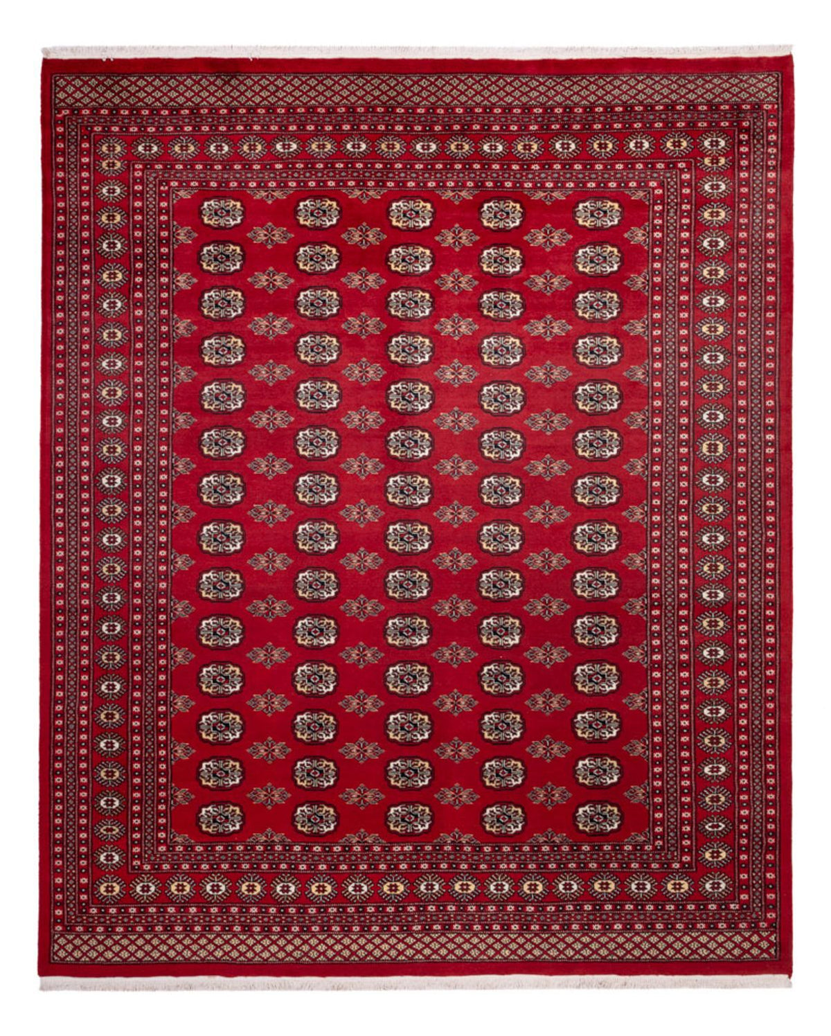 Afghansk tæppe - Bukhara - 301 x 245 cm - rød