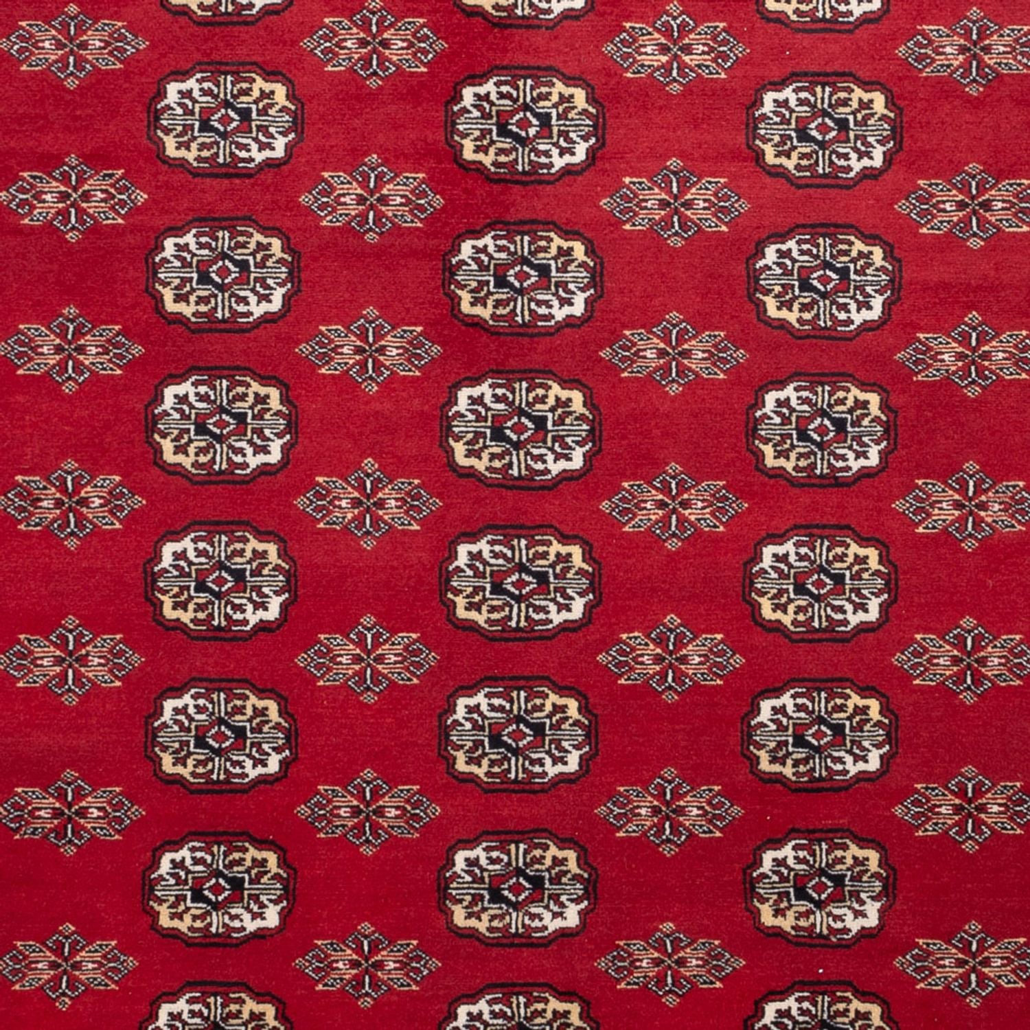 Afghansk tæppe - Bukhara - 301 x 245 cm - rød