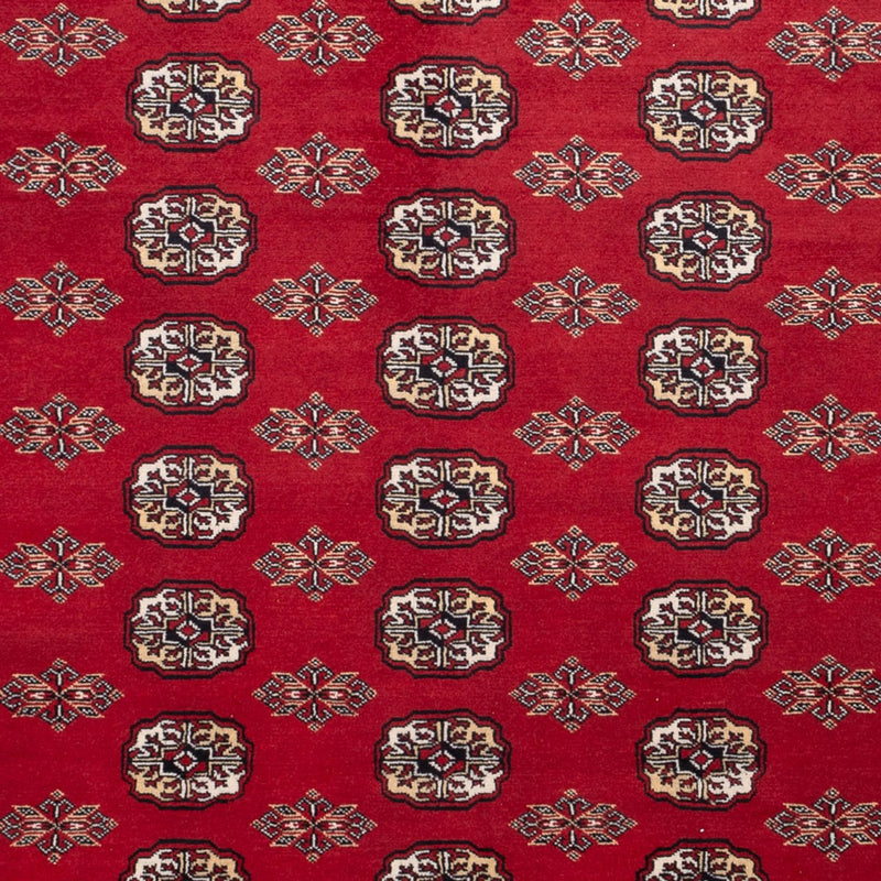 Afghansk tæppe - Bukhara - 301 x 245 cm - rød