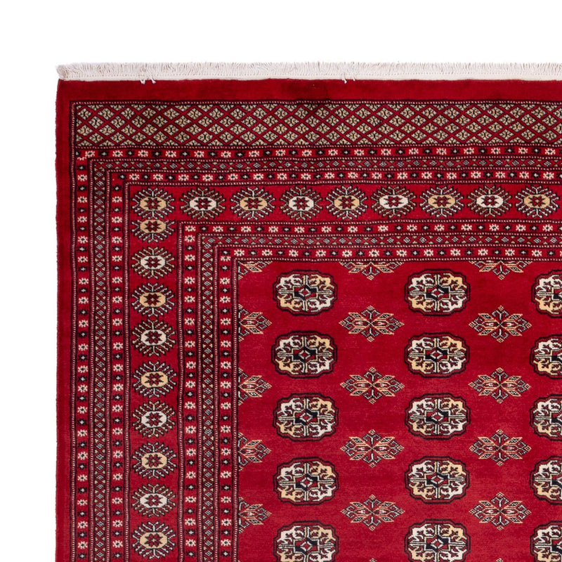 Afghansk tæppe - Bukhara - 301 x 245 cm - rød
