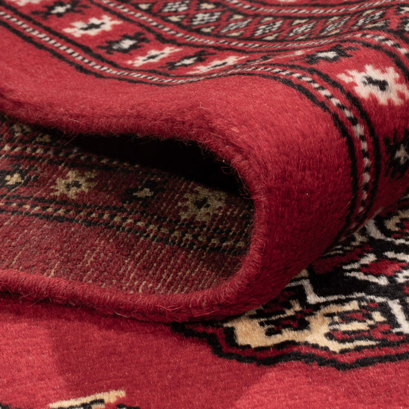 Afghansk tæppe - Bukhara - 301 x 245 cm - rød