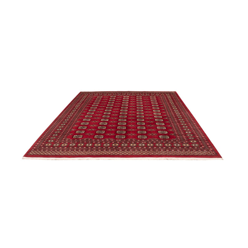 Afghansk tæppe - Bukhara - 301 x 245 cm - rød
