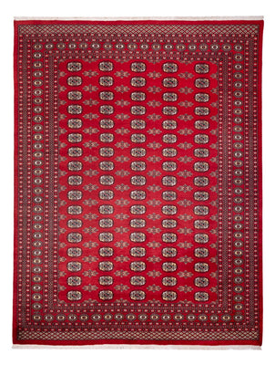 Afghansk tæppe - Bukhara - 314 x 243 cm - rød